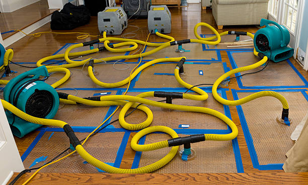 Professional Basement Flood Cleanup technician working in Roxbury, MA